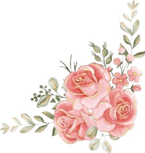Rosa Topo Dir